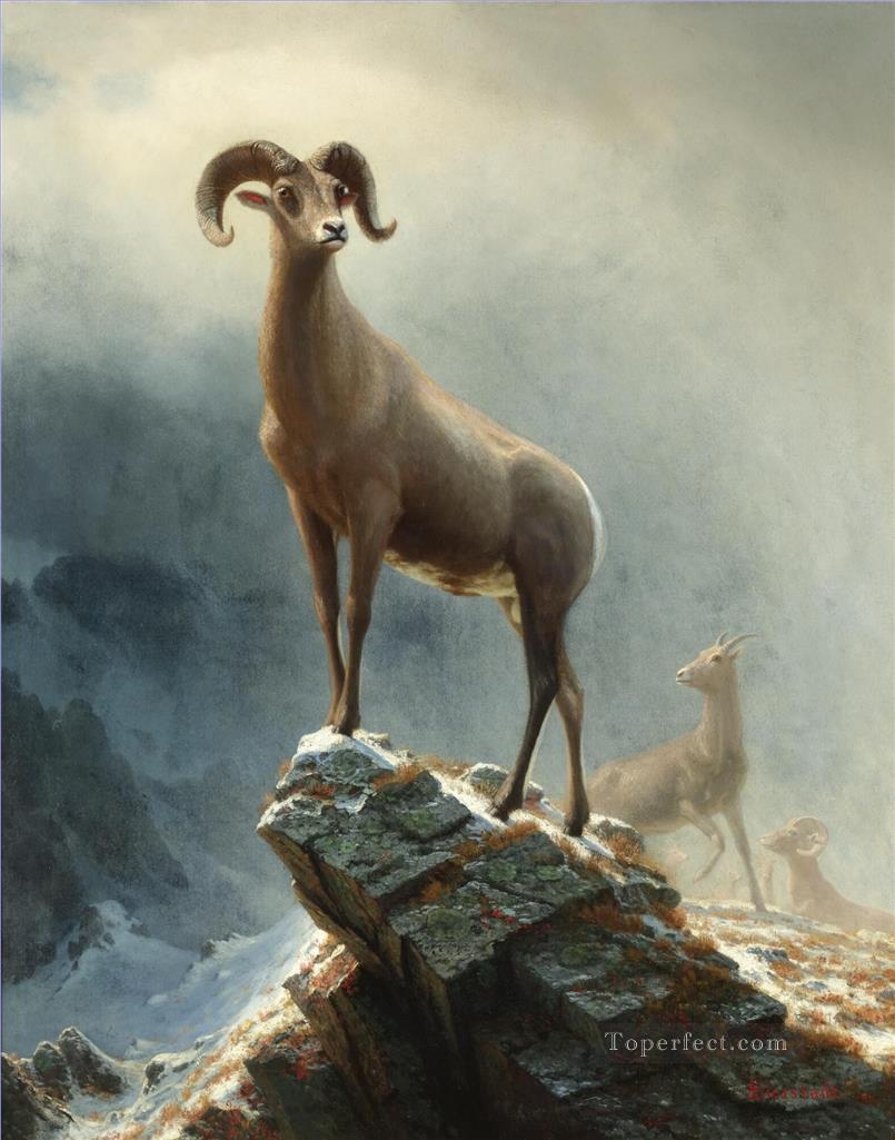 Rocky Mountain Big Horn Sheep American Albert Bierstadt animal Oil Paintings